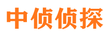 泸定市婚外情调查